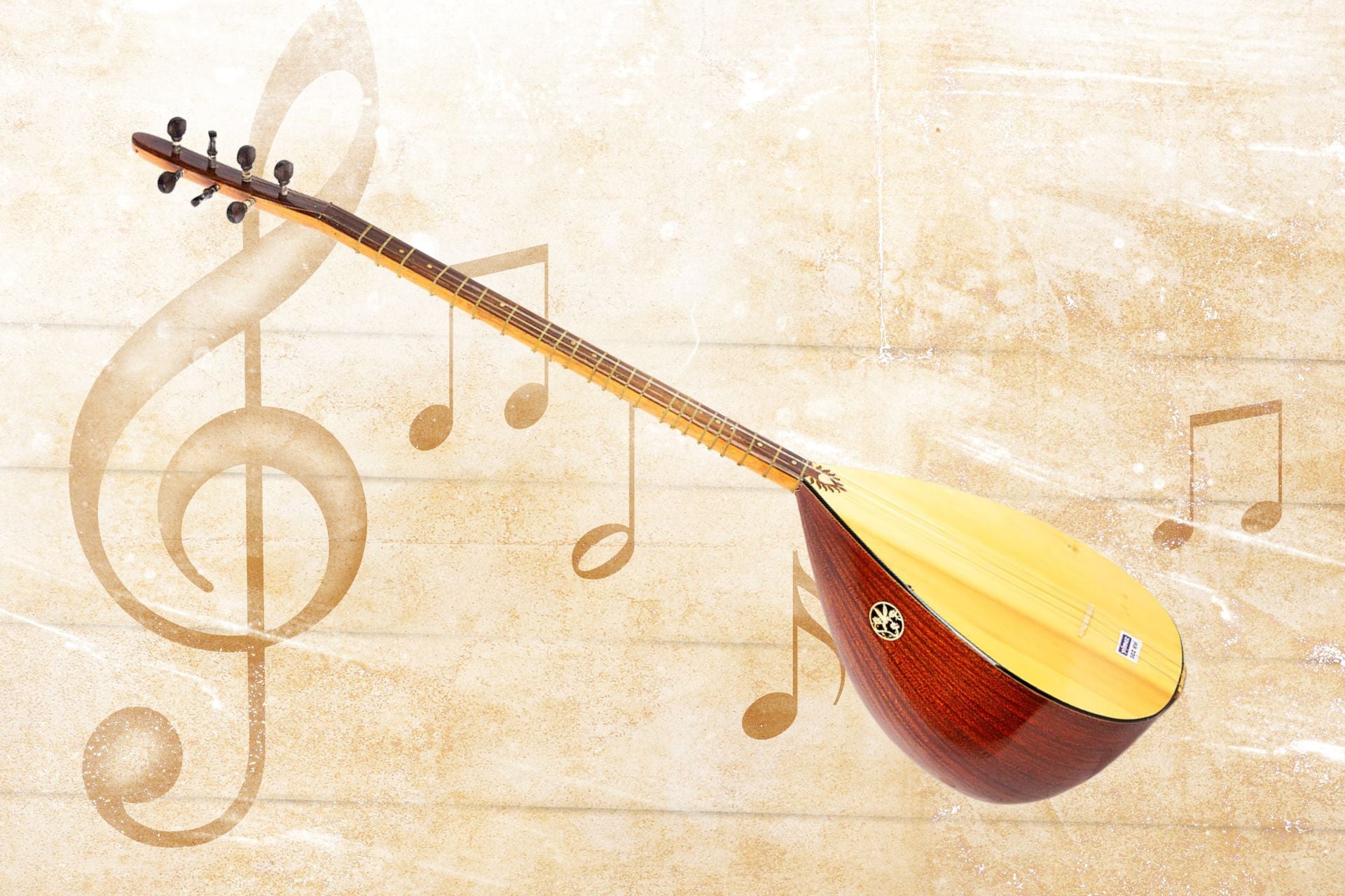 The Unique Sound of the Divan: A Guide to this Persian Stringed Instrument