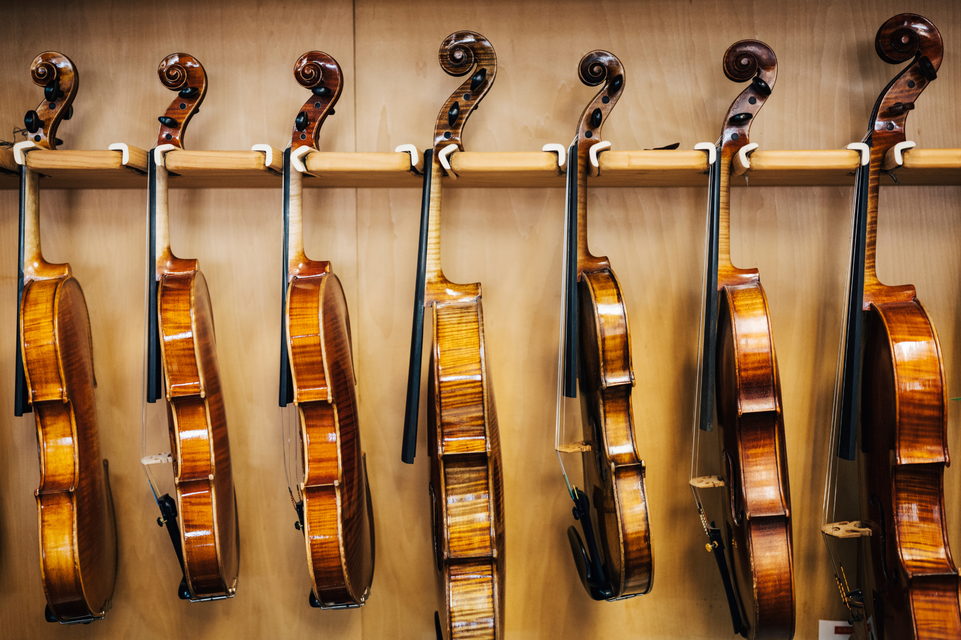 Exploring the Diverse Qualities of Violins