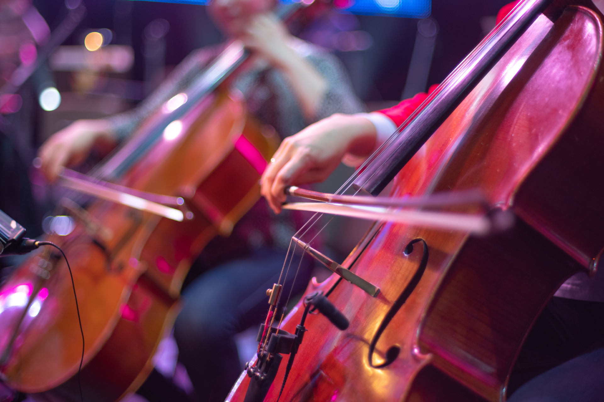 The Cello: A Journey from Humble Beginnings to Solo Stardom