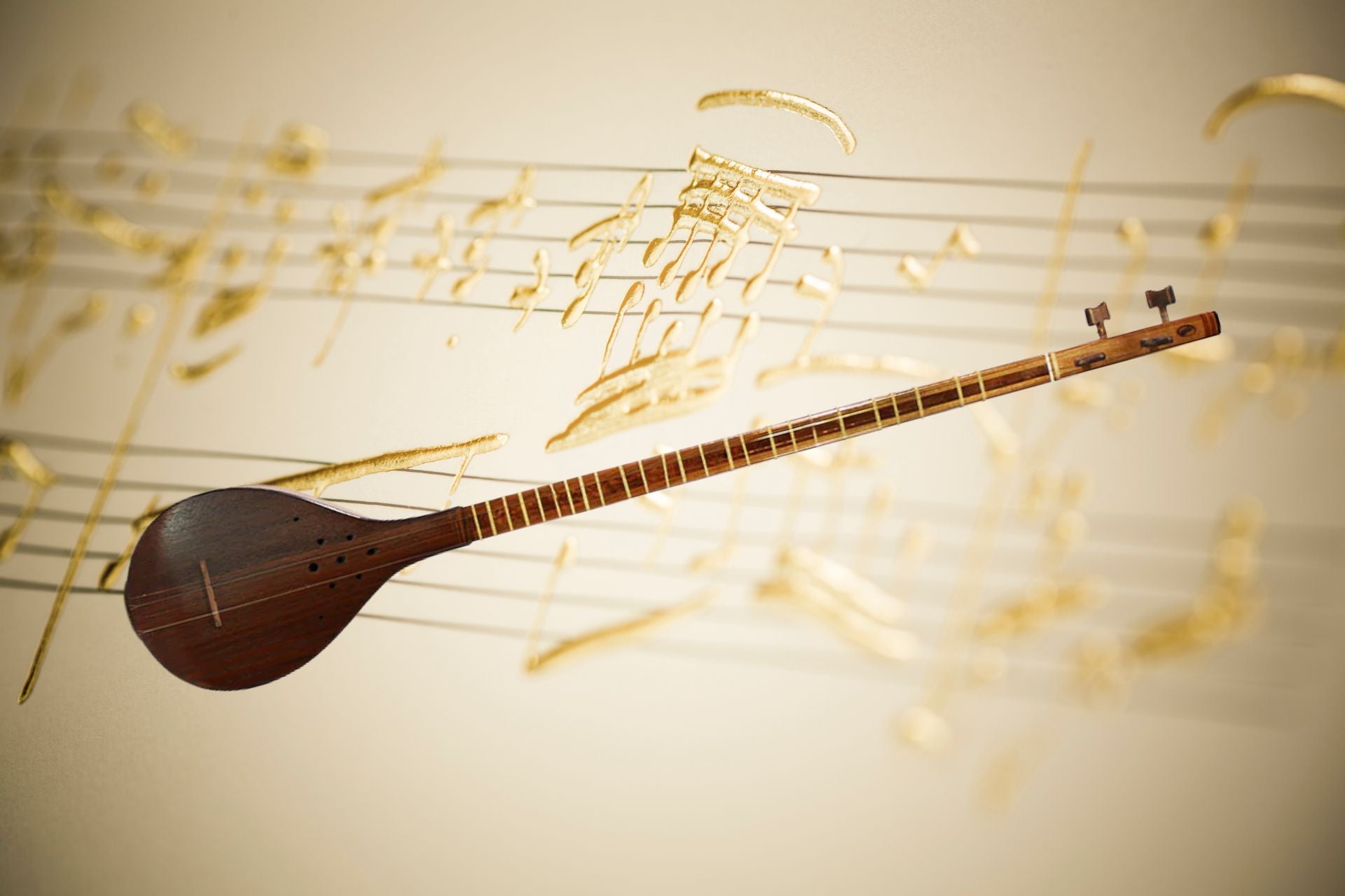 Setar: Unveiling the Melodic Charms of a Persian Musical Treasure