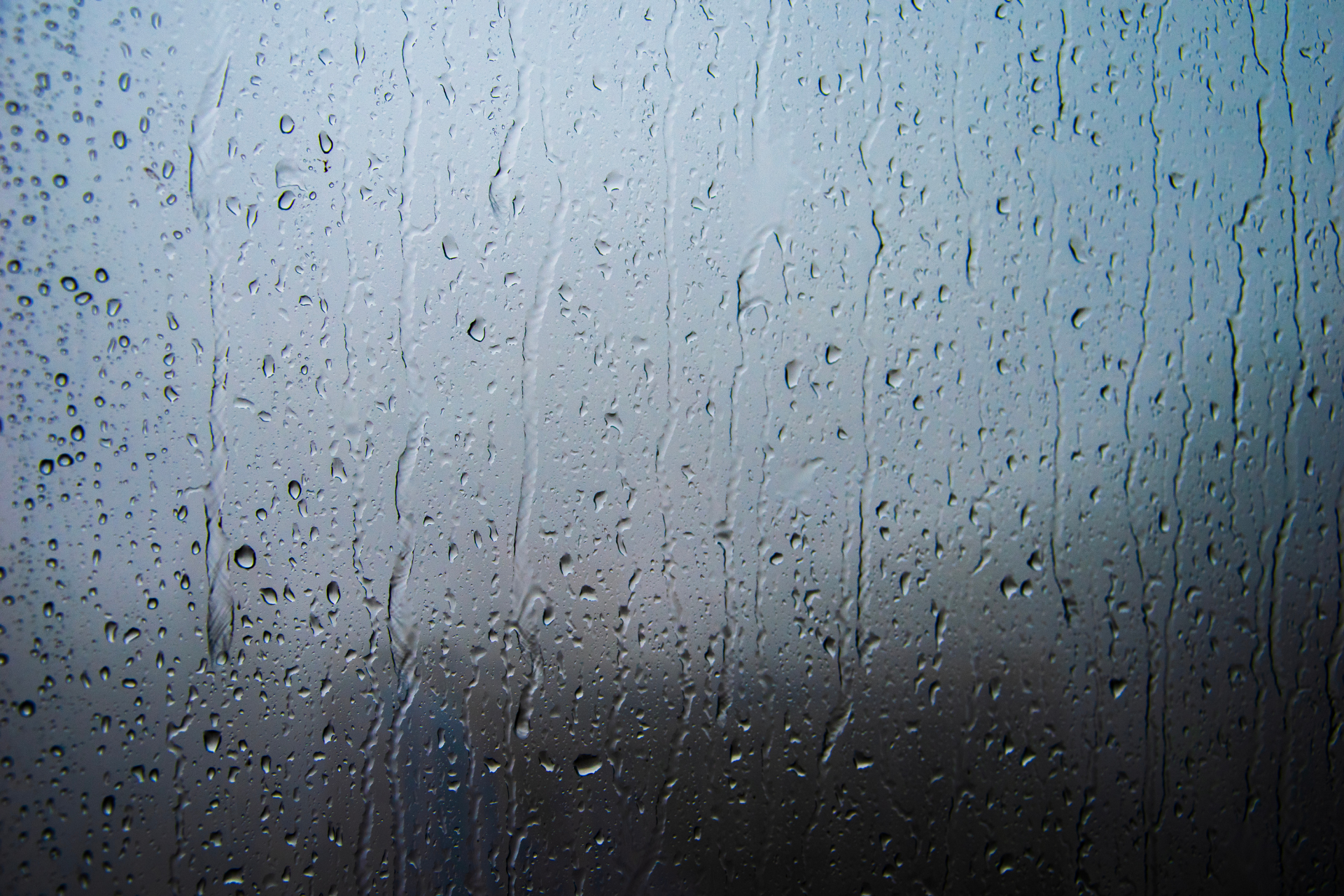 The Effects of Humidity on Musical Instruments