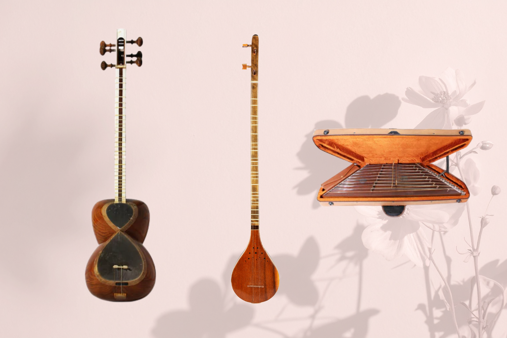 How to Choose Between Tar, Setar, and Santur as a Beginner