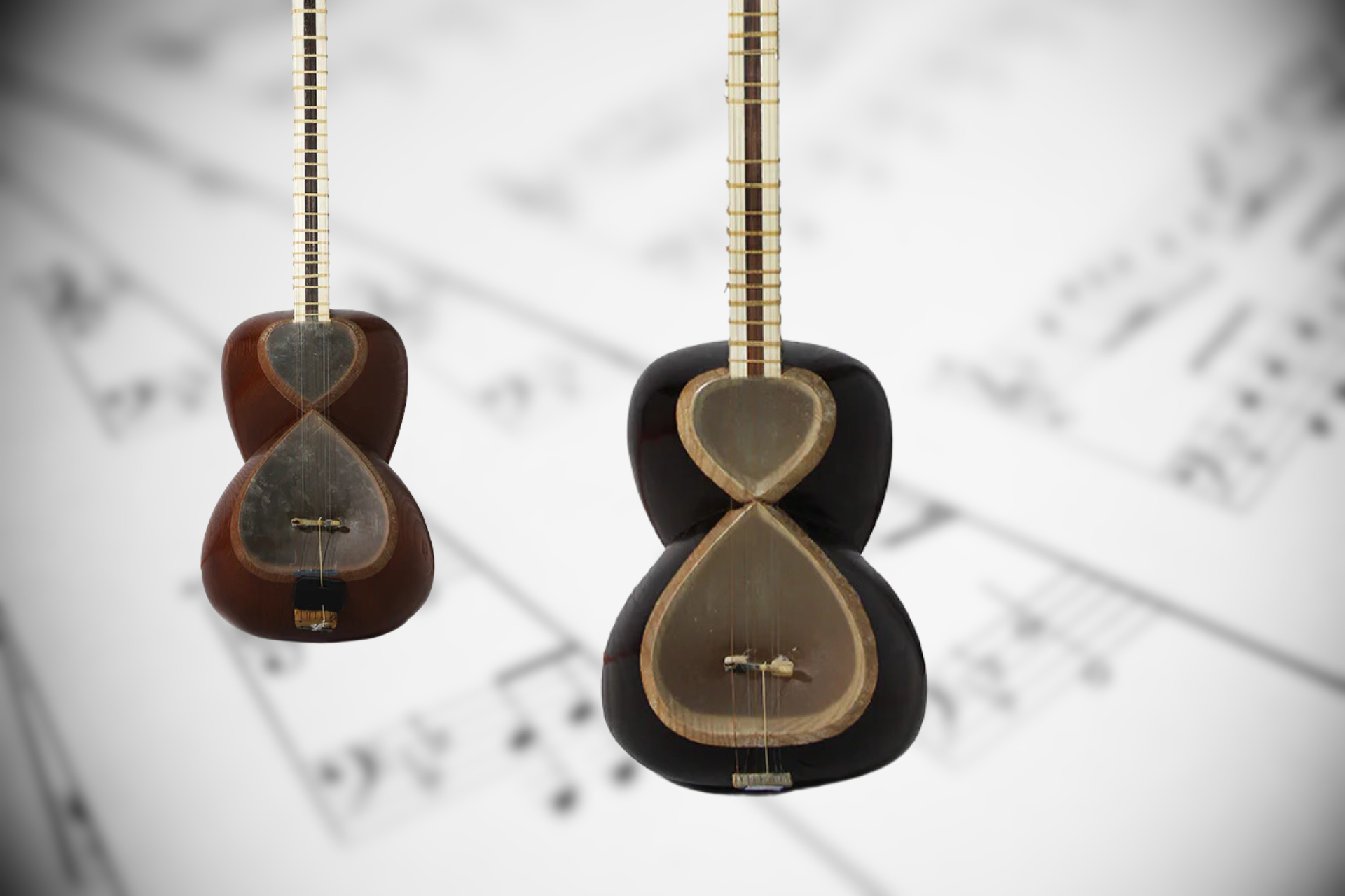 Tar in Contemporary World Music: A Journey through Global Fusion