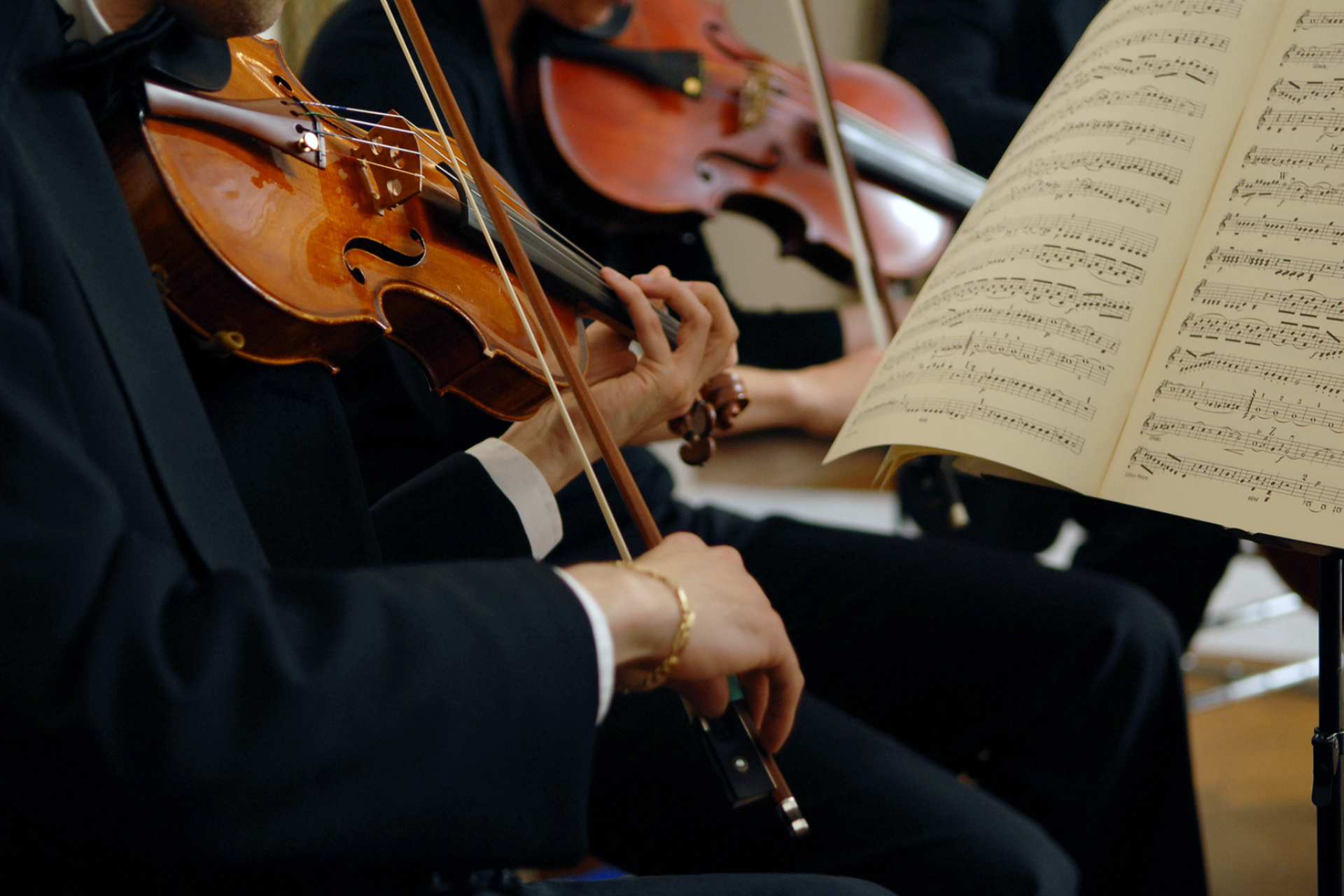 The Top 10 Must-Have Accessories for Violinists