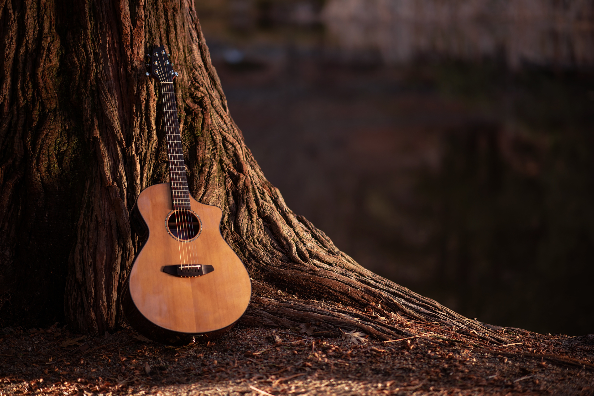5 Fascinating Guitar Facts You Probably Didn't Know