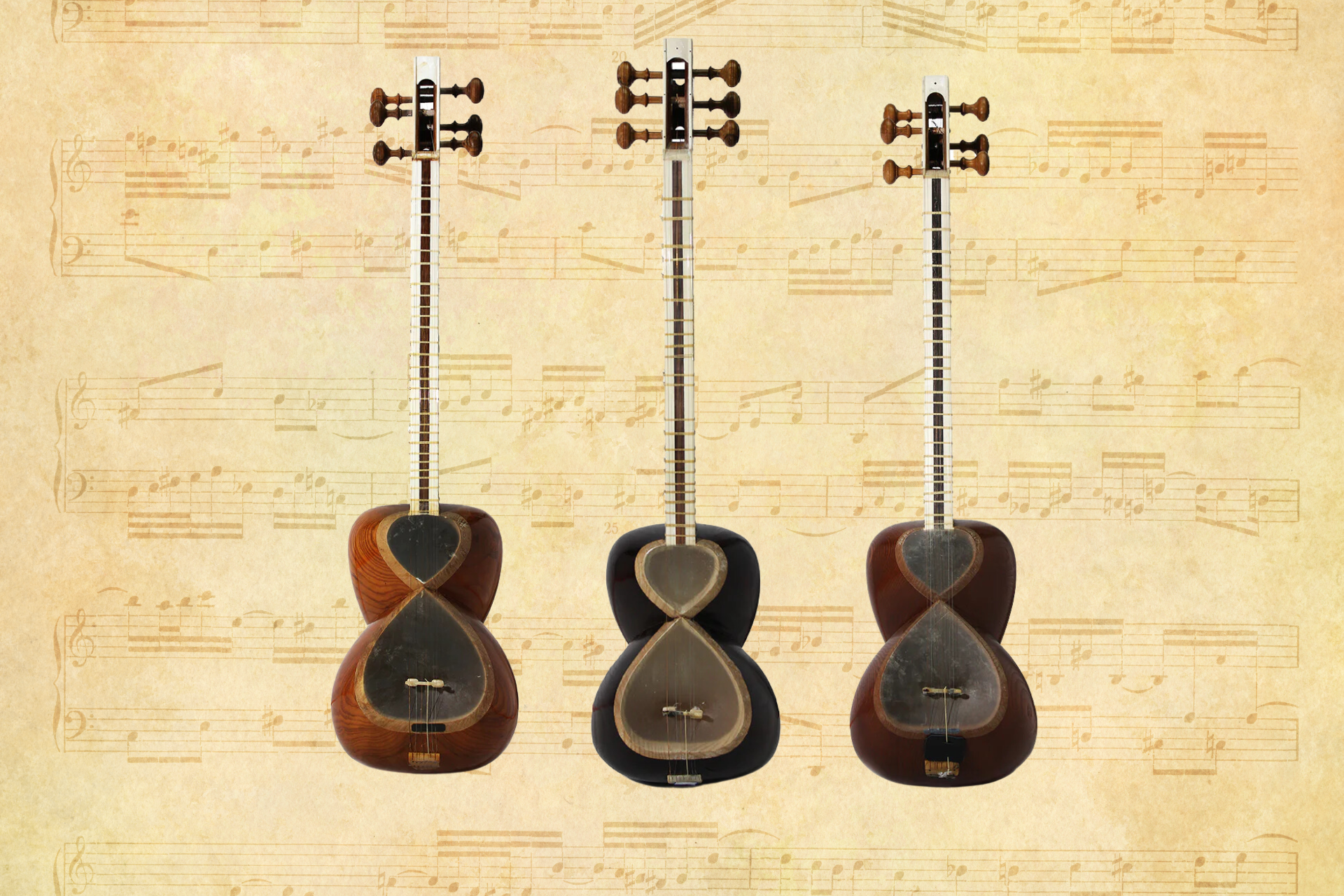Exploring the diversity of Tar instruments