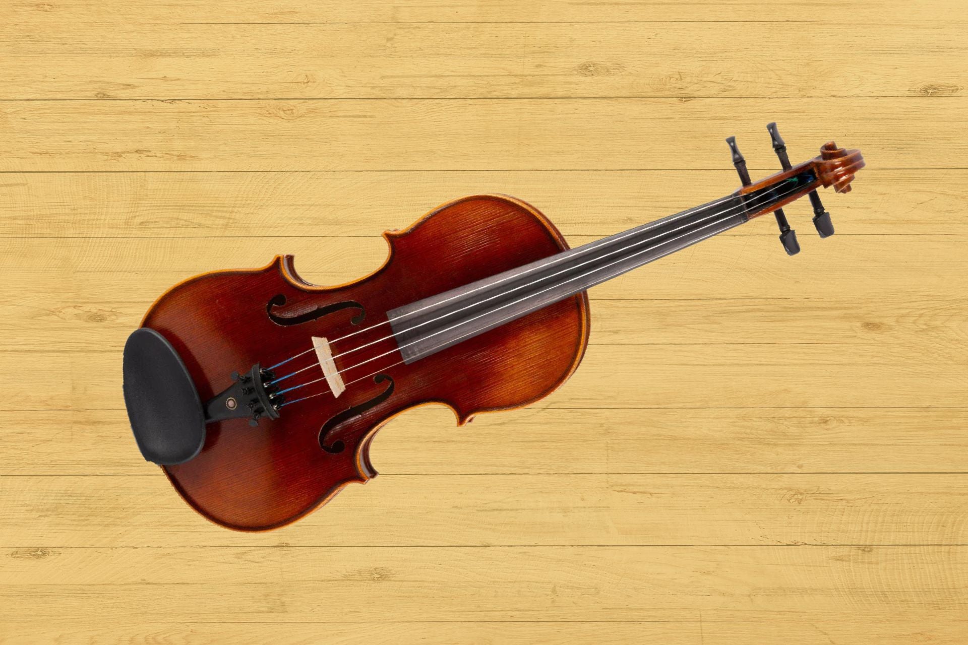 The Versatile Violin: Types, Materials, and Music Genres Explained