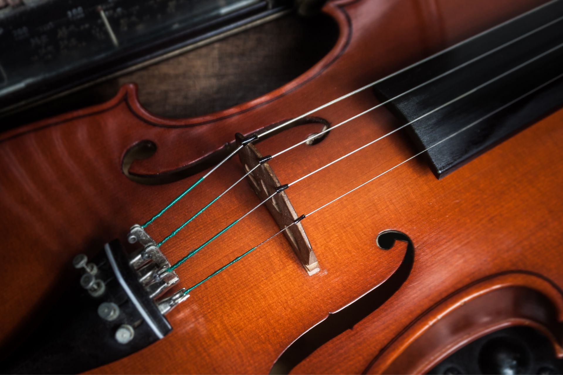 String Instruments: What They Are Made Of and How They Work