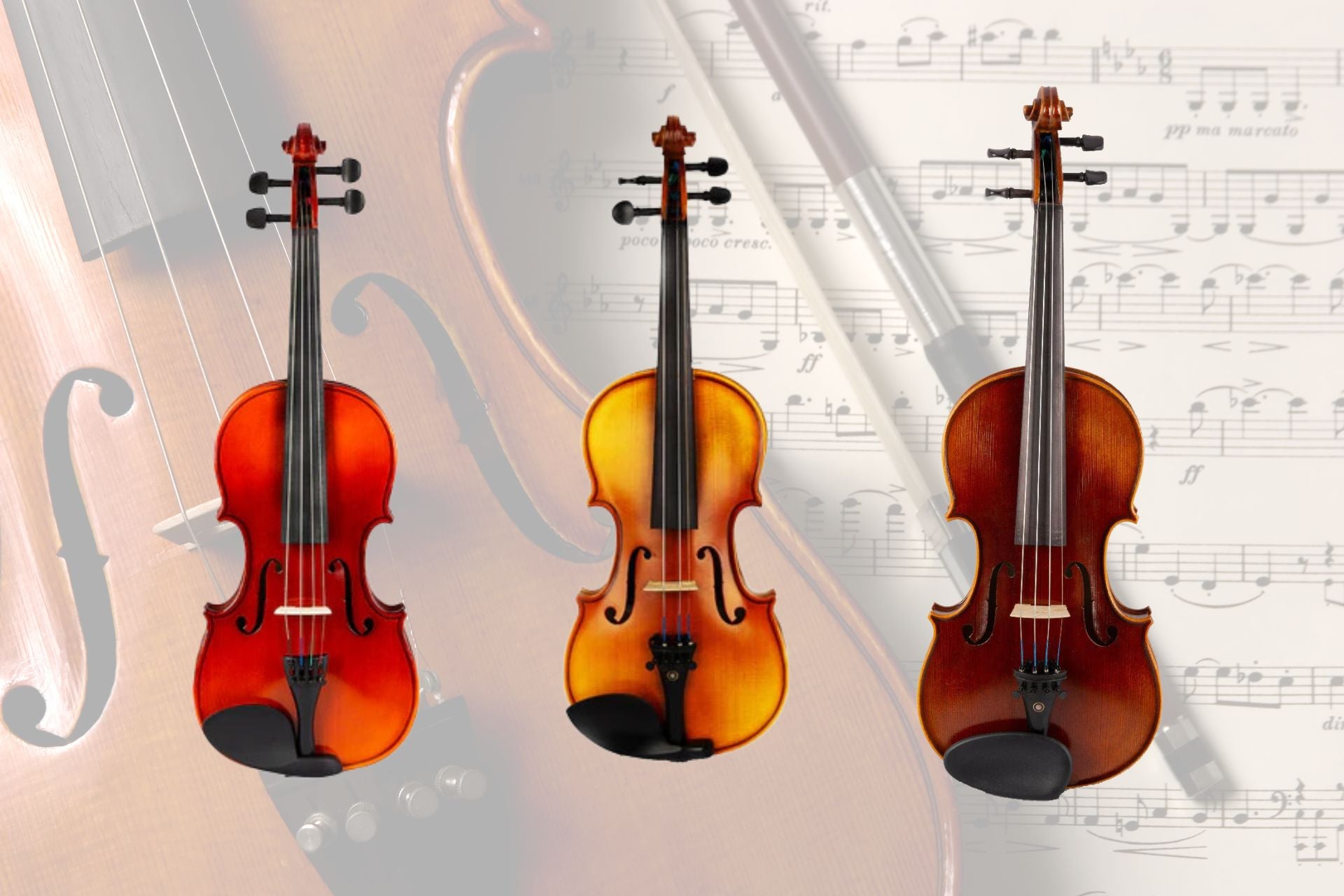 Exploring Violin Sizes: Understanding 4/4, 1/4, 3/4, and 1/2