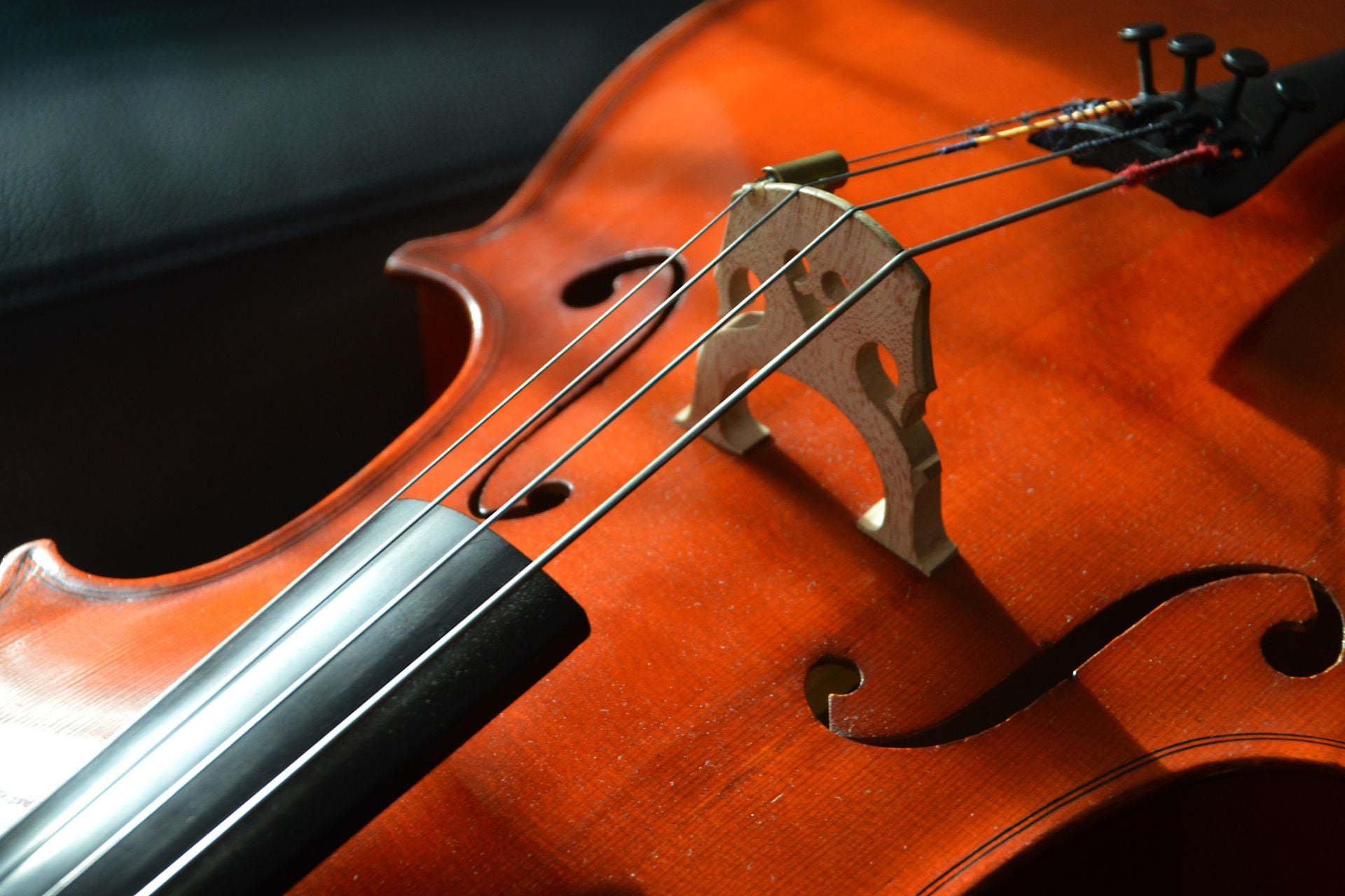 What Are Violin, Viola, Cello, and Bass Strings Made Of?