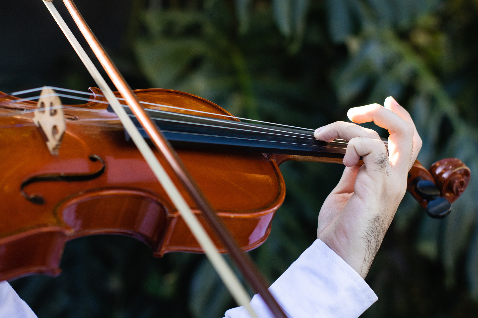 Exploring the Versatility of the Violin