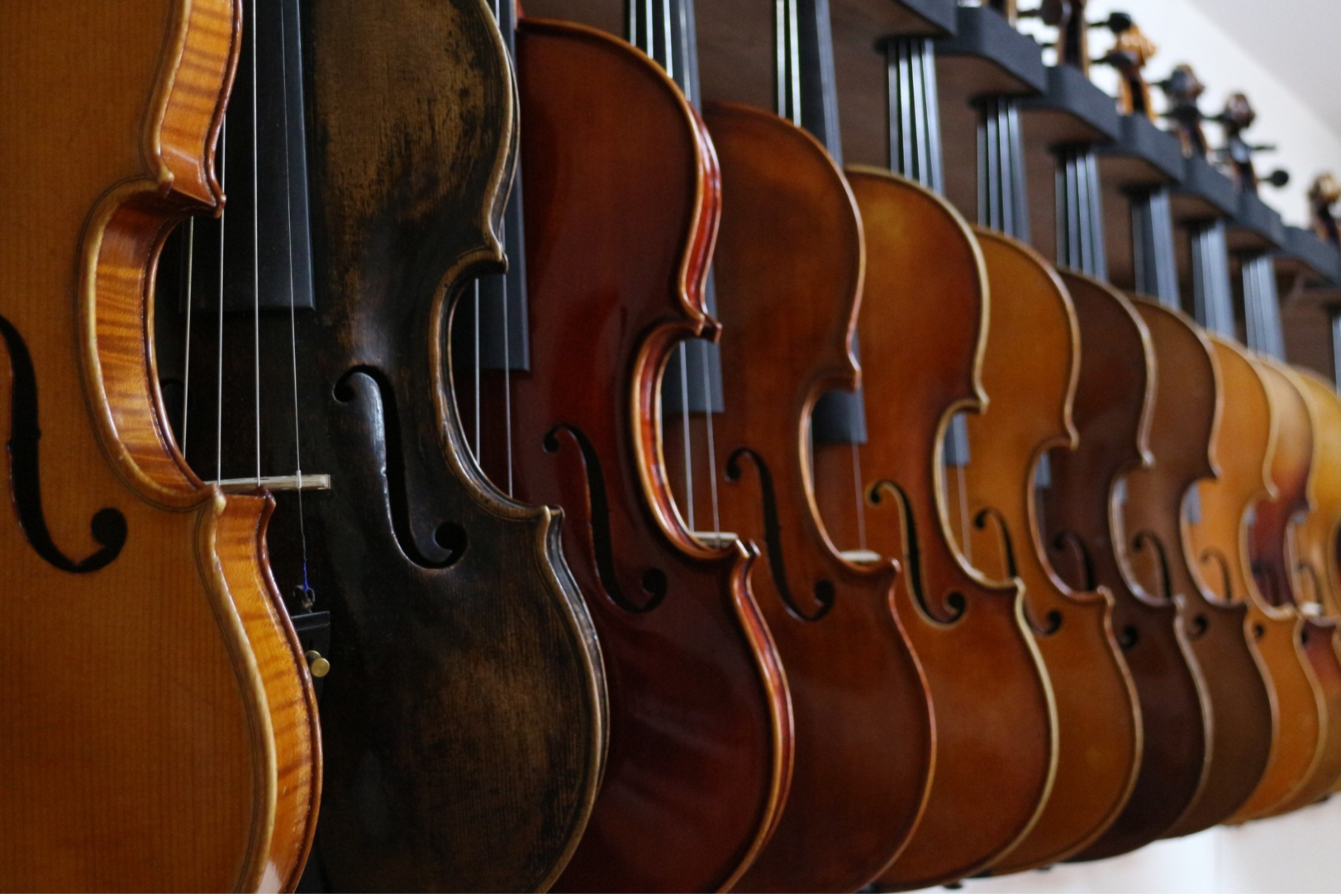 The Evolution of Violin Through History and Modern Innovation