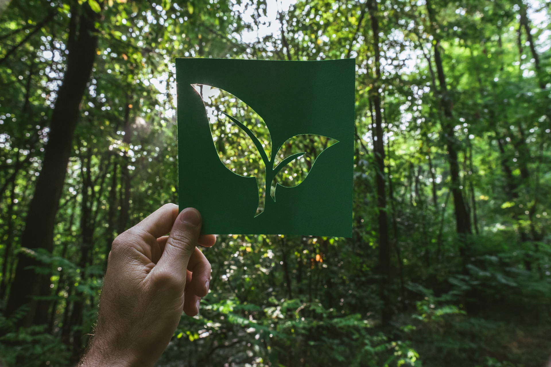 Sustainable Music Gear and the Future of Eco-Friendly Instruments