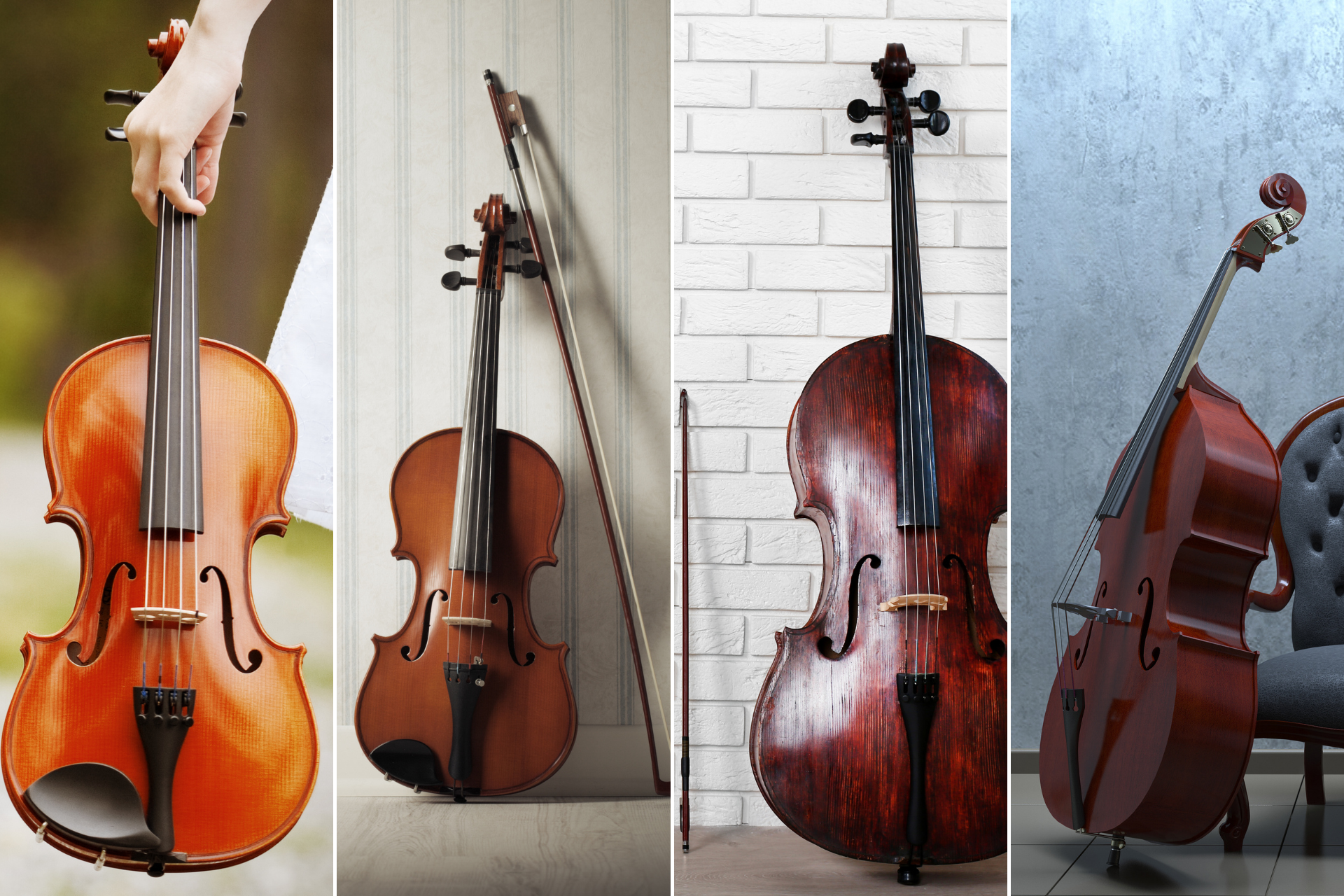 Exploring the Unique Features of Viola, Violin, Cello, and Bass