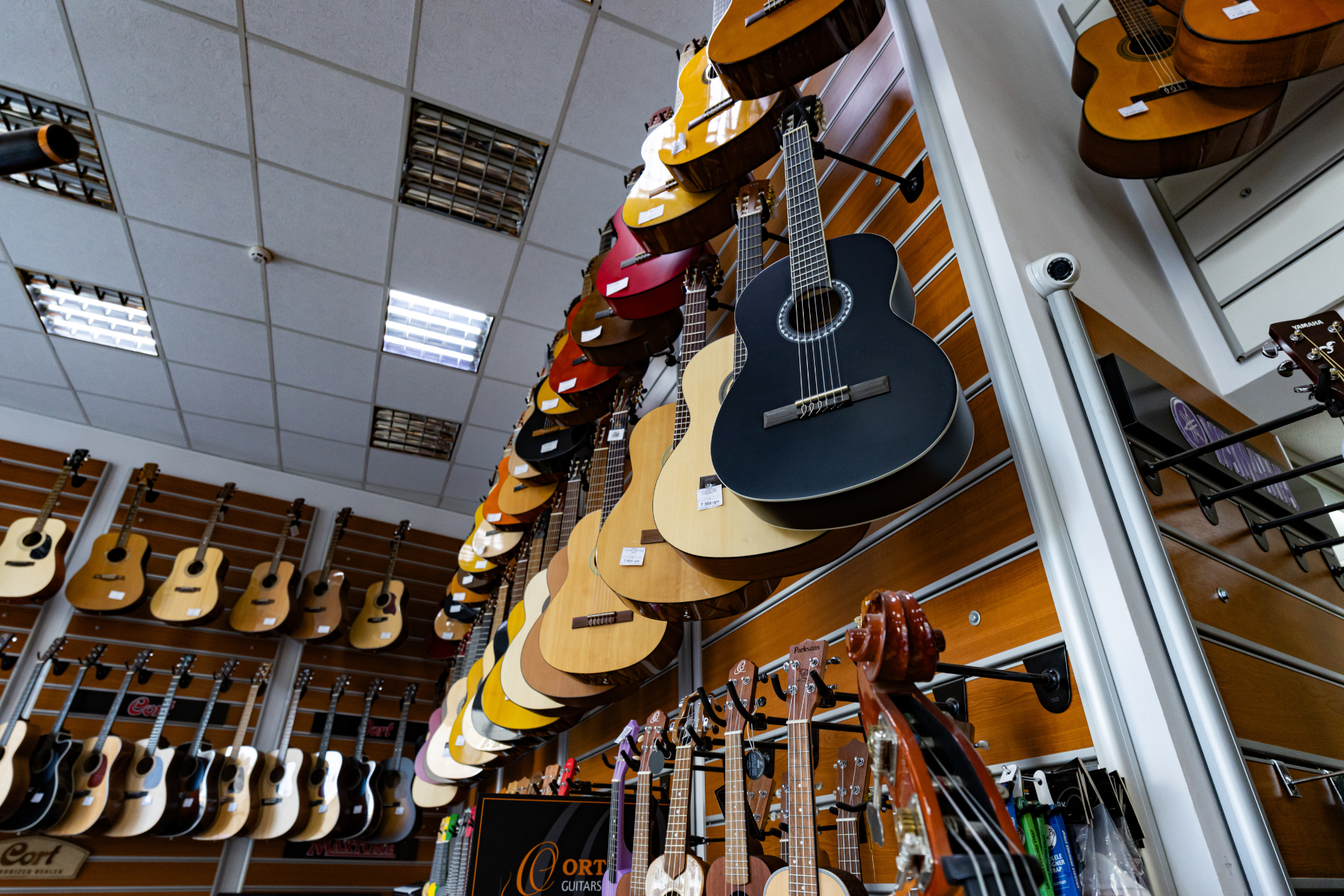 Music Shops vs. Big-Box Retailers: Where Should You Buy Your Gear?